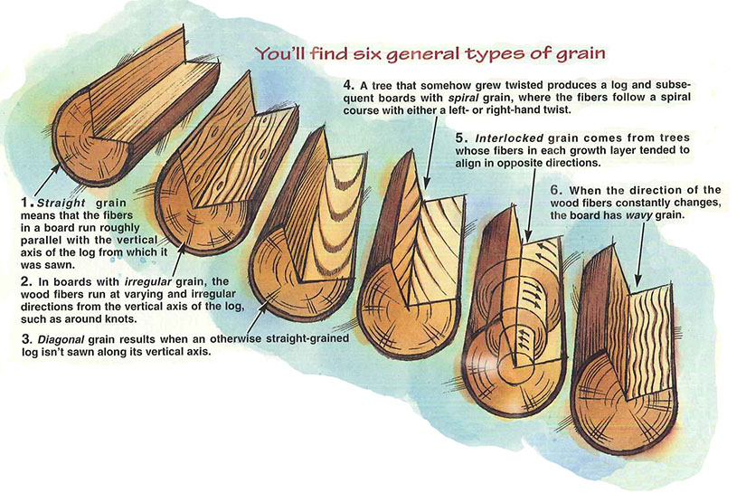 Understanding Wood Grain