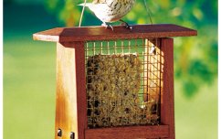 For Birds and Pets | WOOD Magazine