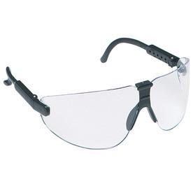 3M Professional Safety Glasses
