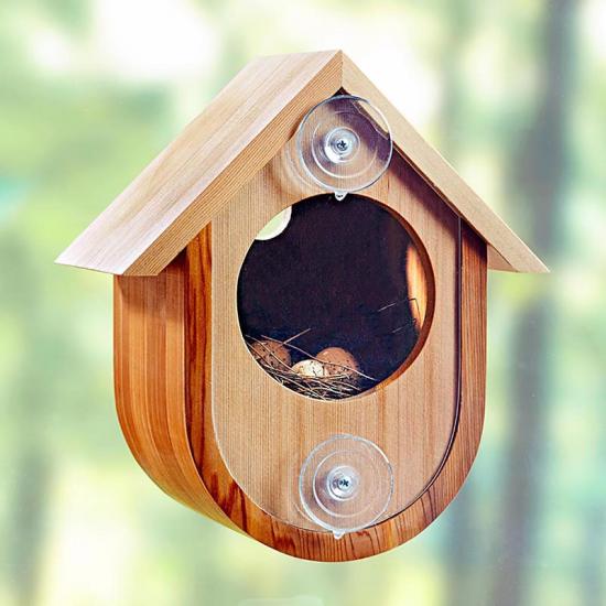 See-in Birdhouse Woodworking Plan WOOD Magazine